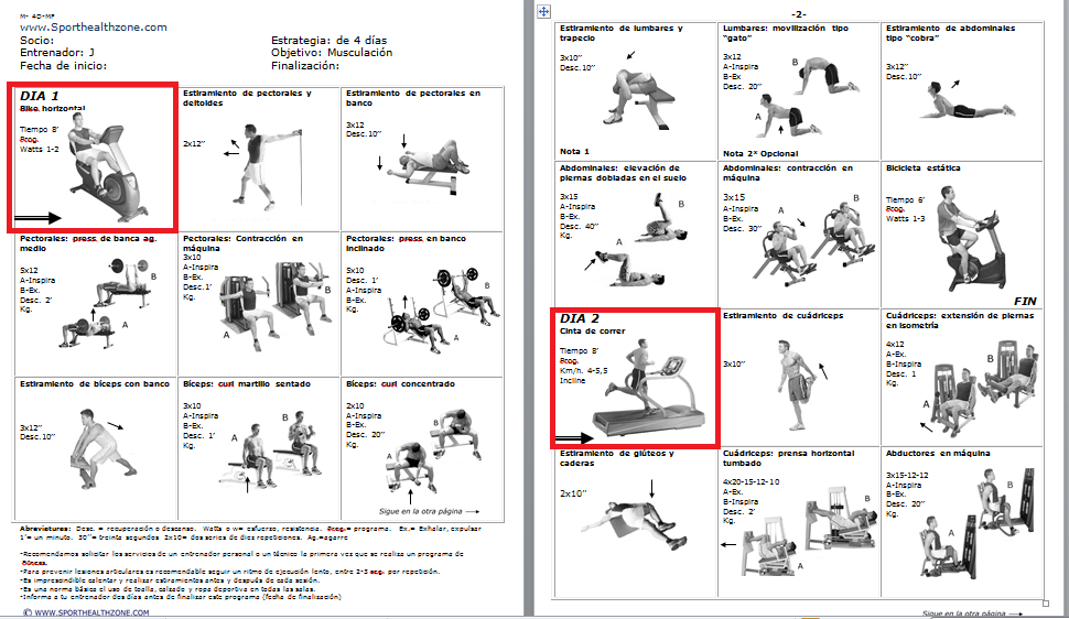 Circuito gimnasio adelgazar